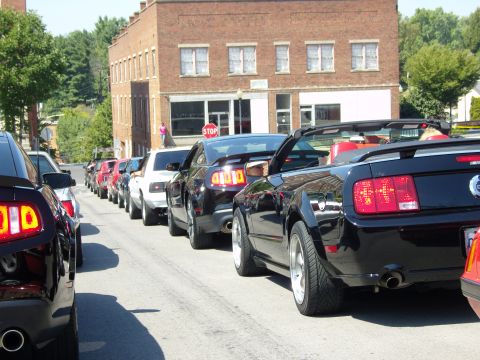 2007 Ford Mustang - A line of Ford Mustangs, including a black convertible, are parked on a street in front of a brick building.