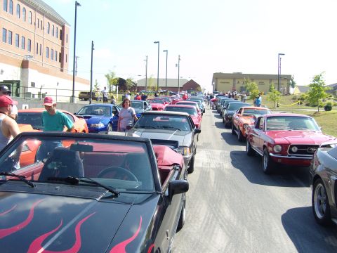 2007 Ford Mustang - A car show features a long line of Ford Mustangs, with a classic red 1967 model clearly visible.