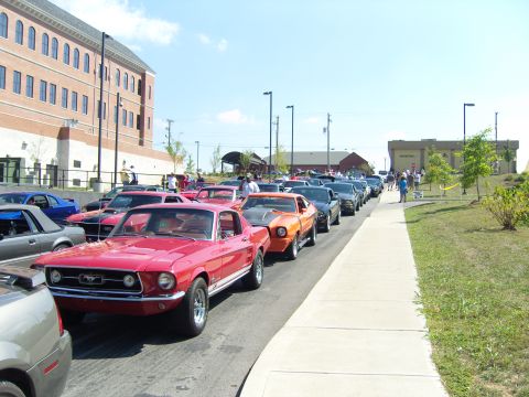 2007 Ford Mustang - A line of classic Ford Mustangs are parked on a street next to a sidewalk and buildings.