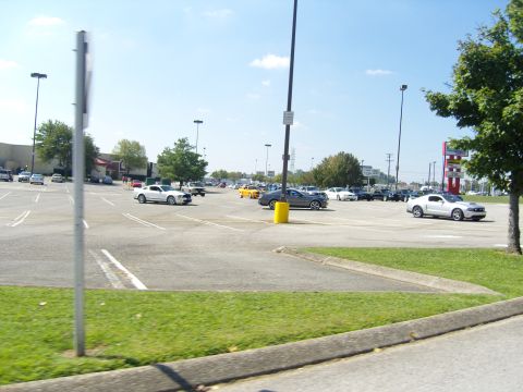 2007 Ford Mustang - Several Ford Mustangs are parked in a lot on a sunny day.