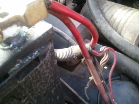 1994 Ford Bronco - This image shows a close-up view of a vehicle's battery terminals and associated wiring.