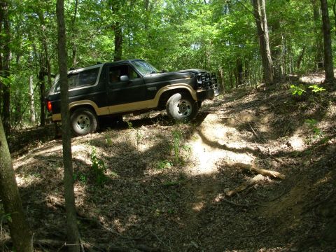 1983 Ford Bronco - It came out a lot more easily than I expected - I didn't even need the winch to get here. But there had always been a stump that made this…
