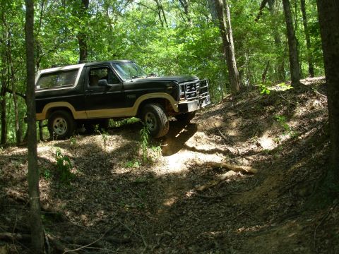 1983 Ford Bronco - It came out a lot more easily than I expected - I didn't even need the winch to get here. But there had always been a stump that made this…