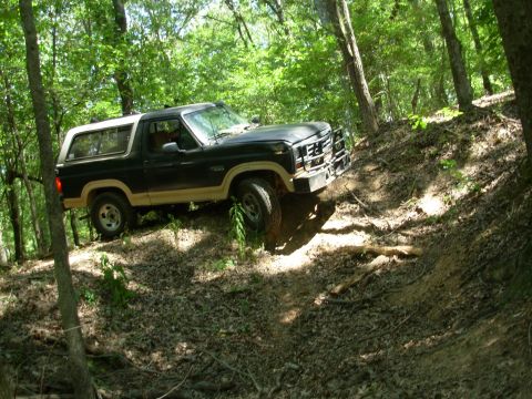 1983 Ford Bronco - It came out a lot more easily than I expected - I didn't even need the winch to get here. But there had always been a stump that made this…
