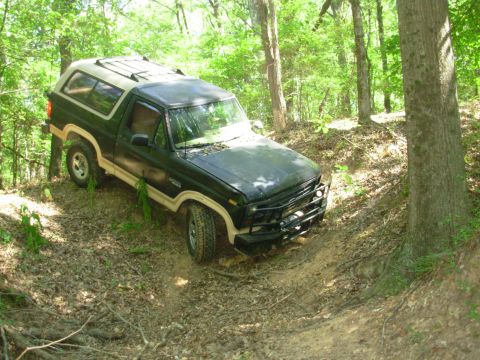 1983 Ford Bronco - It came out a lot more easily than I expected - I didn't even need the winch to get here. But there had always been a stump that made this…