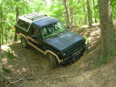 1983 Ford Bronco - My bumpers always smooth out the trails, and today is no exception.