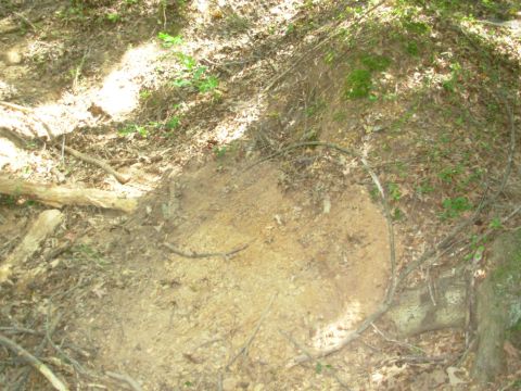 1983 Ford Bronco - I bulldozed about 3' of dirt & gravel between the 2 logs on the L & the root on the R.