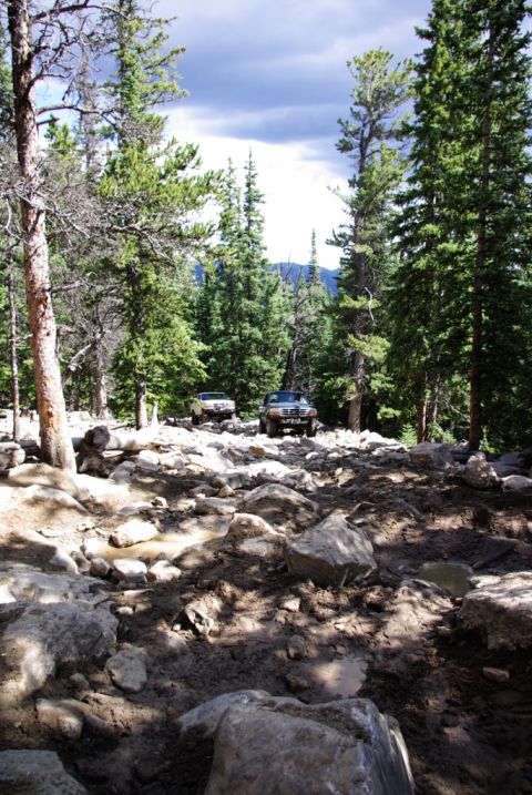 1995 Ford Bronco - Two SUVs traverse a challenging off-road path through a dense forest.