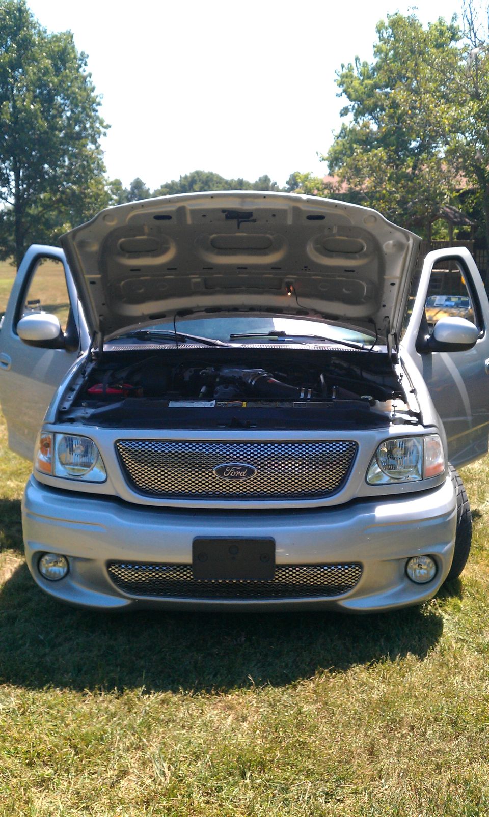Silver 2002 Ford F-150 front view with hood and doors open