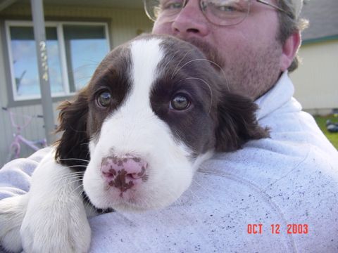 1989 Ford Bronco - This puppy came to see us