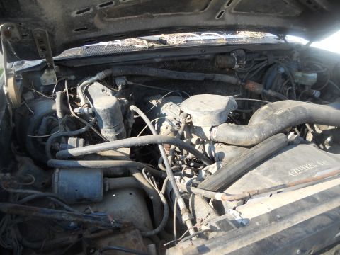 1991 Ford Bronco - Engine bay details of an older vehicle, showing hoses and mechanical parts.