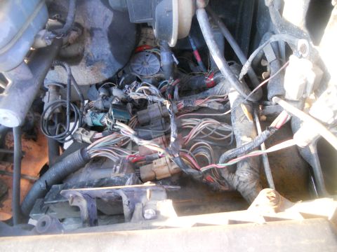 1991 Ford Bronco - A complex engine wiring harness with numerous wires and connectors is visible in this close-up view.