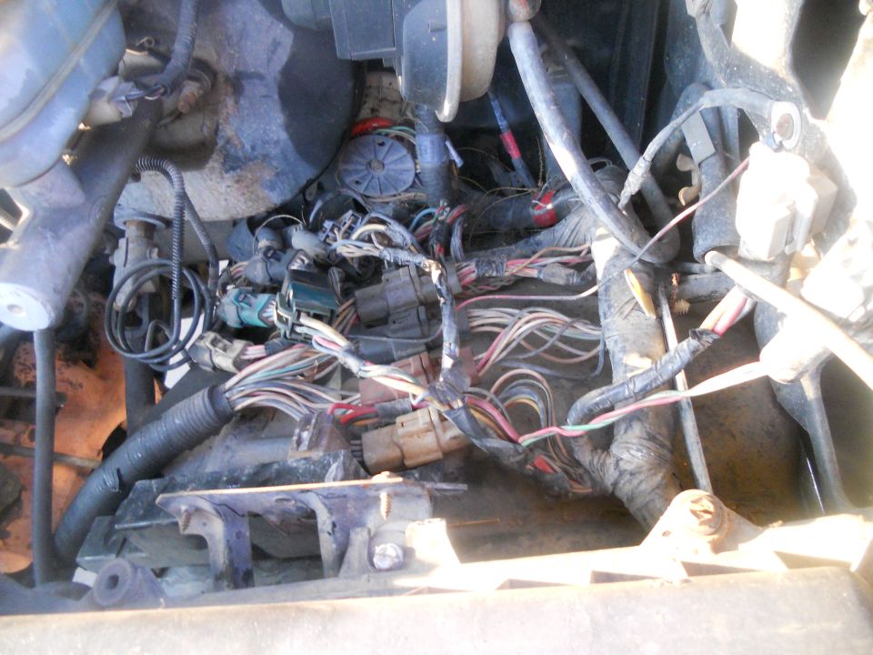 Engine wiring harness with many colorful wires and connectors