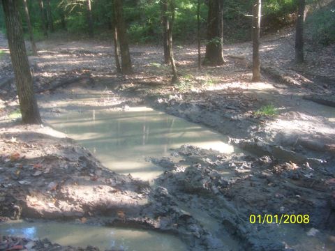 1989 Ford Bronco - A muddy forest trail with several large puddles and visible tire tracks, dated 01/01/2008.