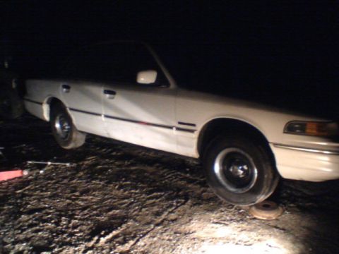 1994 Ford Crown Victoria “mikey”