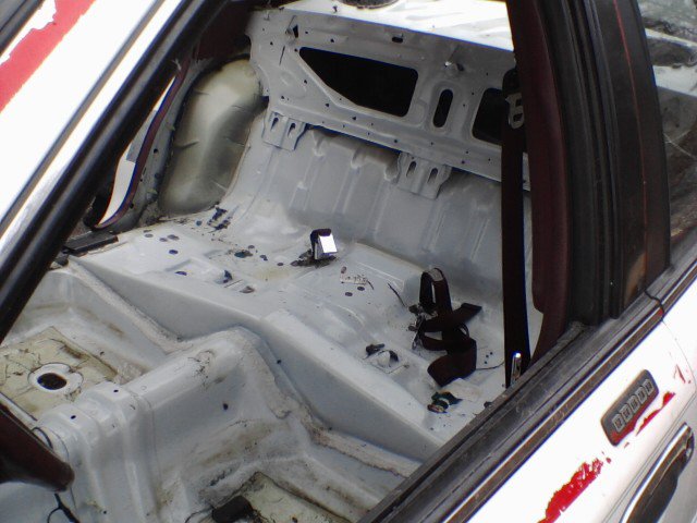 Stripped car interior, white floor, roll cage, seatbelt, red and white exterior stripe