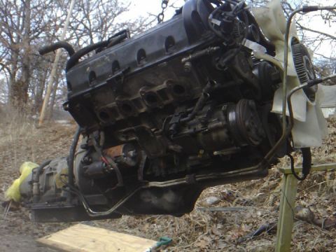 1994 Ford Crown Victoria photo