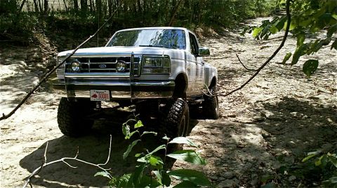 1995 Ford F-150 - This lifted 1995 Ford F-150 navigates a rough, wooded trail.