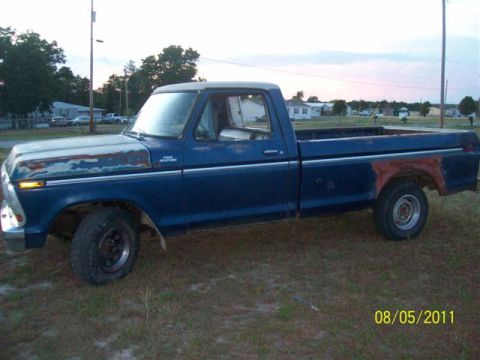 1979 Ford F-150 - A blue 1979 Ford F-150 pickup truck sits in a grassy area under a cloudy sky.