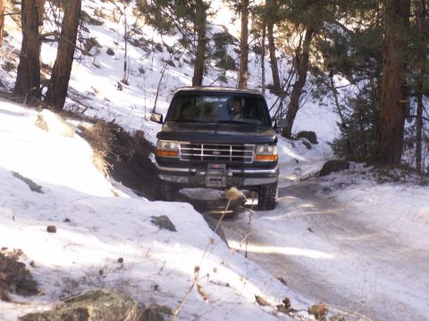 1995 Ford Bronco - A black 1995 Ford Bronco navigates a snowy, wooded trail.