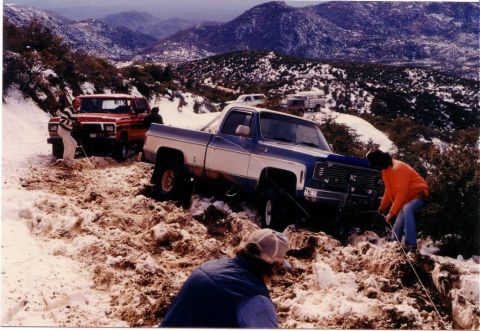 1979 Ford Bronco - This guy cell phoned his girlfriend and brought up a case of beer for me.