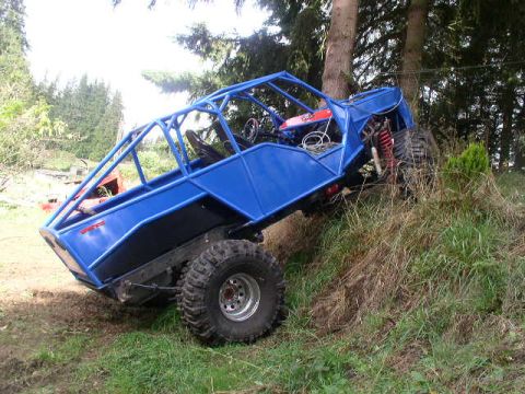 1979 Ford Bronco - A custom-built blue buggy with an exposed roll cage is parked on a steep, grassy slope beside a large tree.