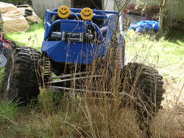 Blue custom buggy with oversized tires and winch, partially obscured by tall grass
