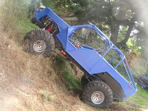 1979 Ford Bronco - A custom-built buggy with a roll cage is shown on a steep, grassy incline.