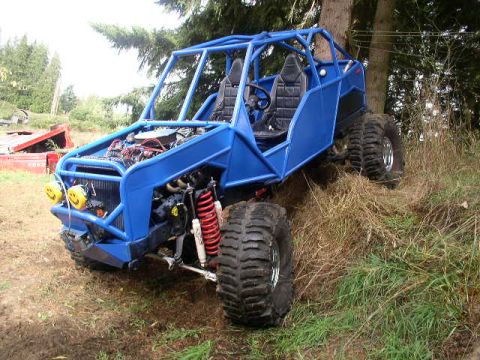 1979 Ford Bronco - This custom off-road buggy is equipped with large tires and a protective roll cage.