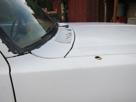 1987 Dodge 1500 - Close-up of a white pickup truck's front corner, revealing signs of wear and tear.