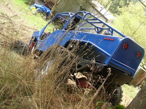 1979 Ford Bronco - Custom buggy with 'BRONCO' badging is seen off-road, partially hidden by vegetation.