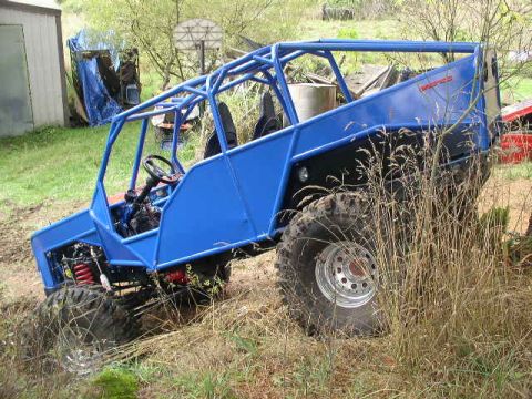 1979 Ford Bronco - A custom-built buggy with a prominent blue roll cage is parked on a grassy slope.