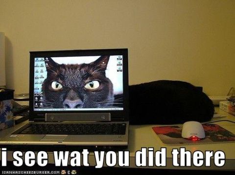 2000 Mercury Grand Marquis - A black cat appears on a laptop screen, with the caption 'i see wat you did there' below.