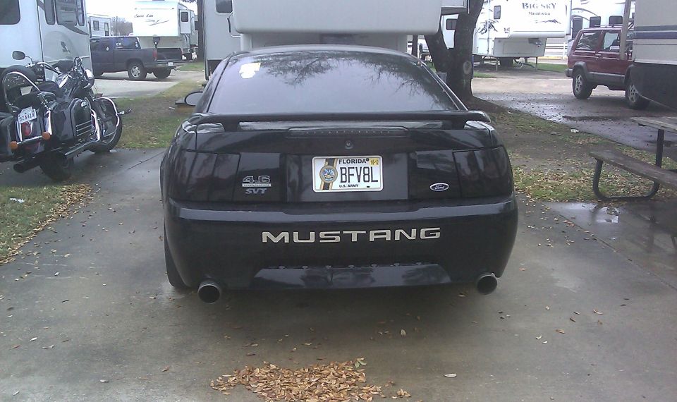 Black 2003 Ford Mustang rear view with SVT and 4.6 badges, Florida license plate BFV8L