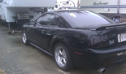2003 Ford Mustang photo