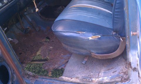 1979 Ford Bronco - The floor of this vehicle is severely rusted, with grass visible through holes in the metal.
