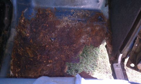 1979 Ford Bronco - The floor pan of a vehicle shows extensive rust damage, with grass visible through holes.