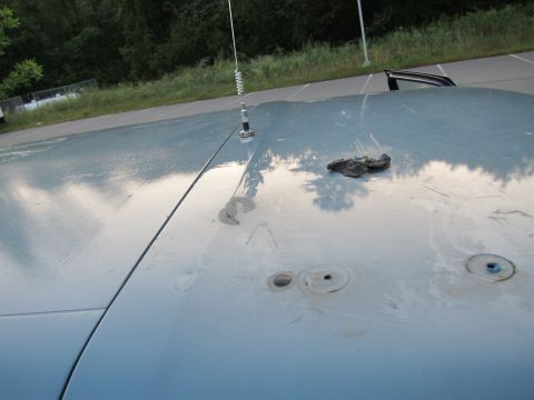 2001 Ford Crown Victoria - The light blue car roof shows several circular indentations and an antenna mount.
