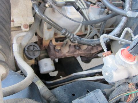 2001 Ford Crown Victoria - Close-up view of an engine bay, highlighting the exhaust manifold and oil filter.