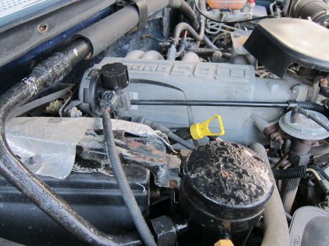 2001 Ford Crown Victoria - Close-up view of an engine bay, showing various components and hoses.