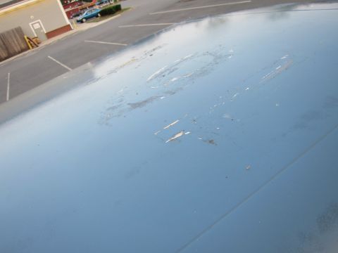 2001 Ford Crown Victoria - The hood of a blue car shows significant wear and damage, with peeling paint and a noticeable dent.