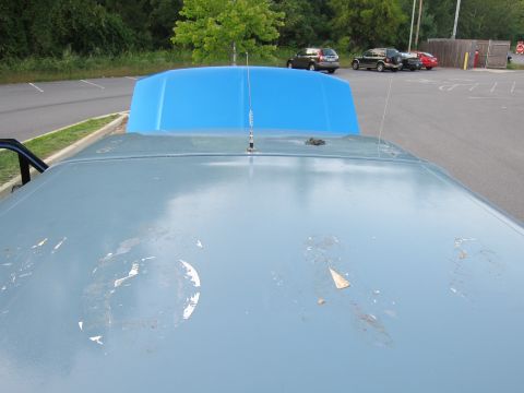 2001 Ford Crown Victoria - A blue car hood is visible, with peeling paint and an antenna. Other vehicles are parked in the background.