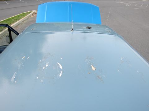 2001 Ford Crown Victoria - A light blue car's roof shows peeling paint, with a bright blue hood open behind it in a parking lot.