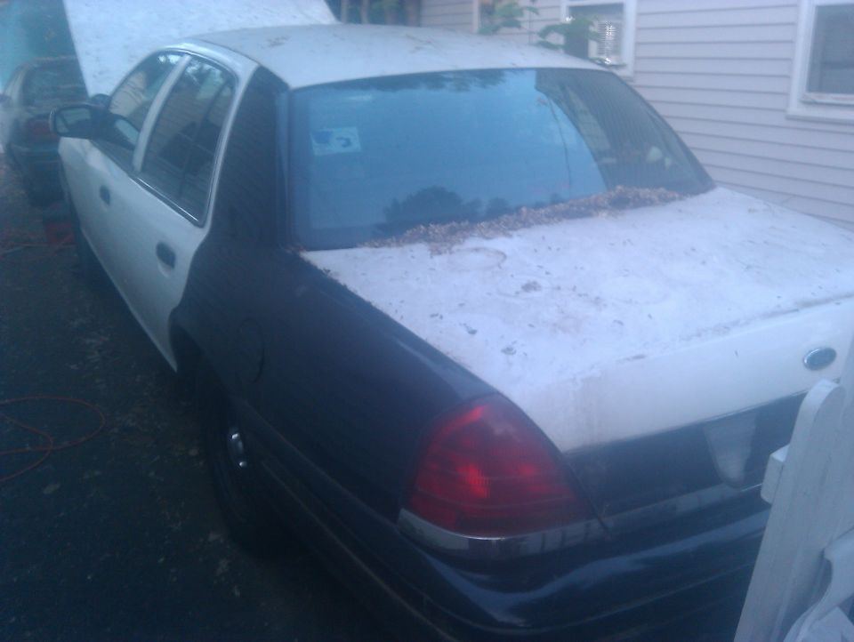 Two-tone white and dark blue Ford Crown Victoria sedan, rear three-quarter view, with debris on trunk, parked by a house