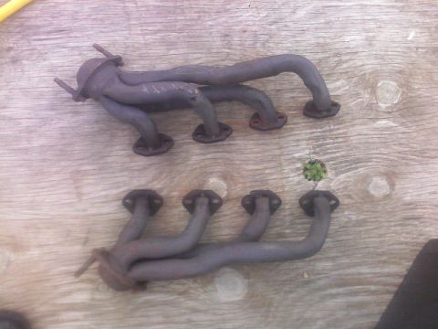 1987 Mercury Grand Marquis - Two exhaust manifolds are shown on a wooden surface, with a small plant growing between the pipes of the bottom manifold.