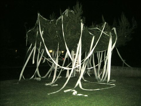 1996 Ford Bronco - A tree is covered in toilet paper streamers at night, with a house and car lights visible in the background.