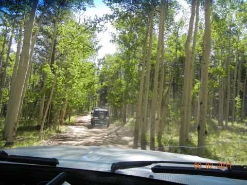 1996 Ford Bronco - Two vehicles travel on a dusty dirt road surrounded by aspen trees.