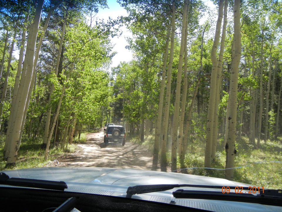 SUV driving on a dirt road through a forest, seen from inside another vehicle