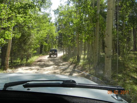1996 Ford Bronco - A dark SUV kicks up dust on a dirt road surrounded by trees.