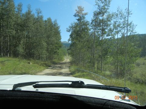 1996 Ford Bronco - Driving down a dirt road surrounded by trees on a sunny day.
